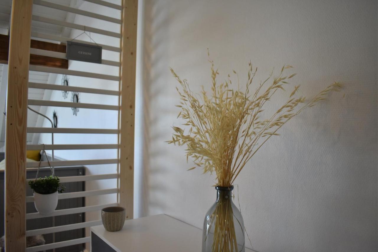 Charmant Studio, Le Petit Gris Des Montagnes 穆特 外观 照片